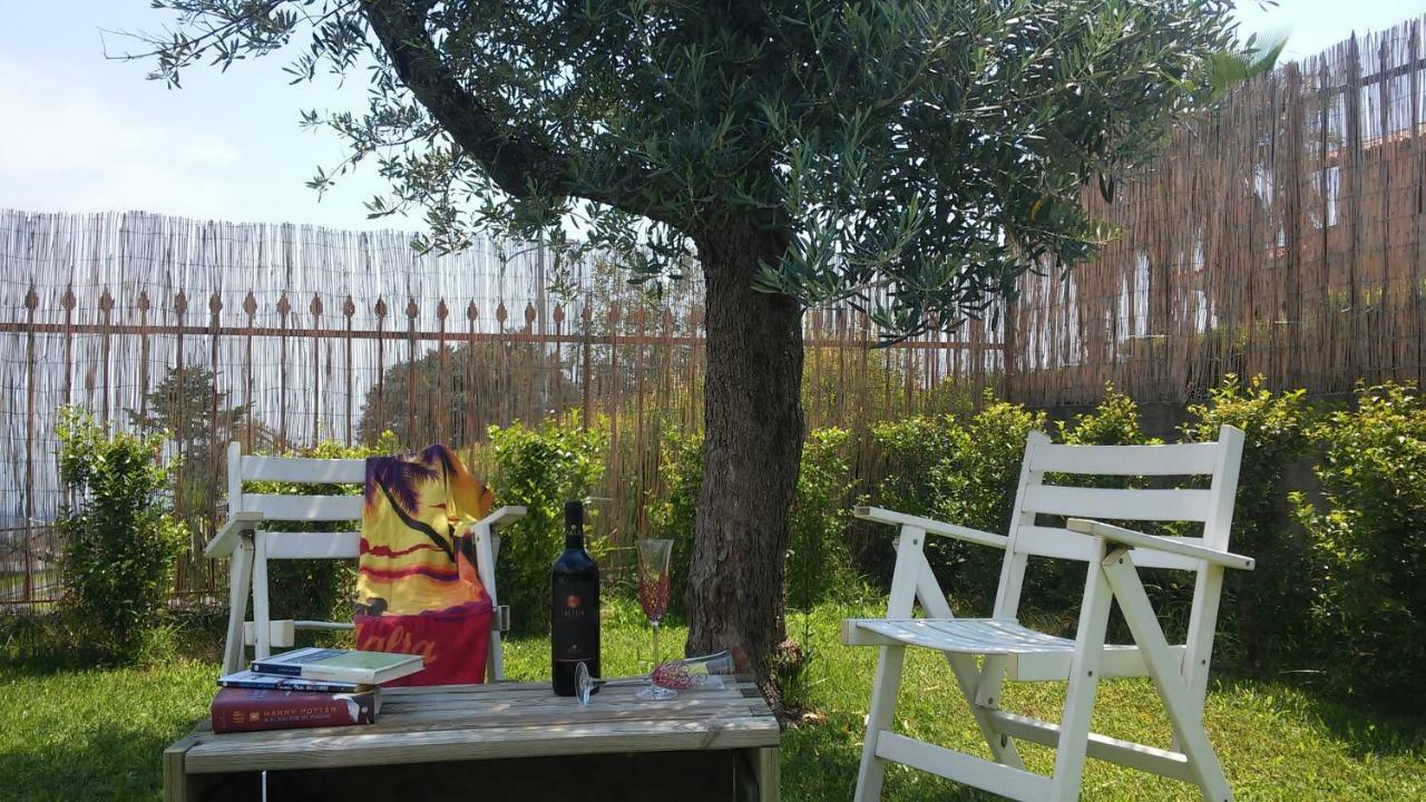 ザッフェラーナ・エトネーアEtna Wineryアパートメント エクステリア 写真